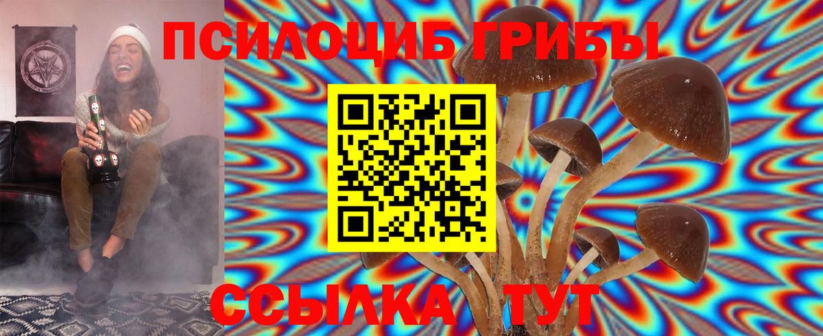 Галлюциногенные грибы Psilocybine cubensis  дарнет шоп  Калач-на-Дону  Вход с VPN 