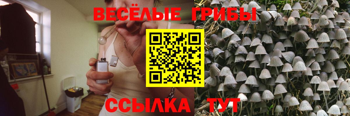 Псилоцибиновые грибы ЛСД Калач-на-Дону